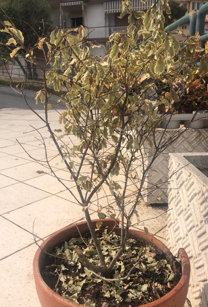 WhatsApp Image 2021-08-27 at 16.34.48.jpeg